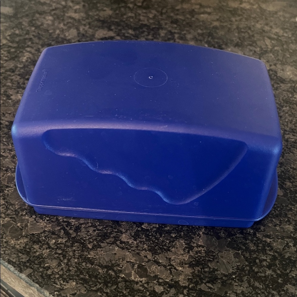 Vintage Tupperware Covered Butter Dish. Will hold a pound or sticks.